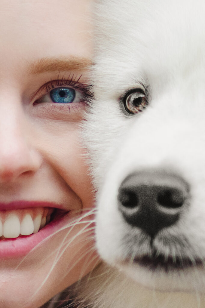 Hundefotografie Bad Bramstedt